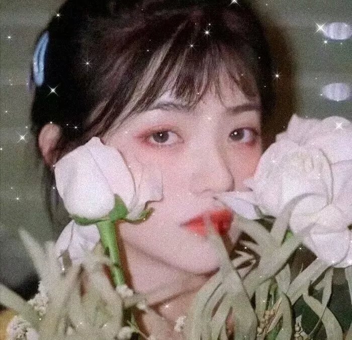 午夜的太阳