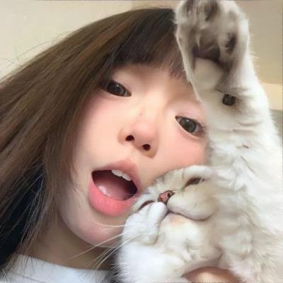 龟女士的奥德赛