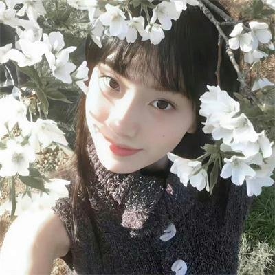 乌鲁鲁的森林物语